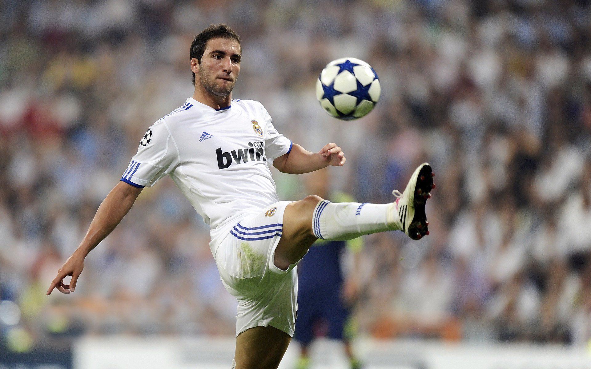 从新奥尔良到北美之巅，当鹈鹕的团队风暴遇见保罗的冠军时刻