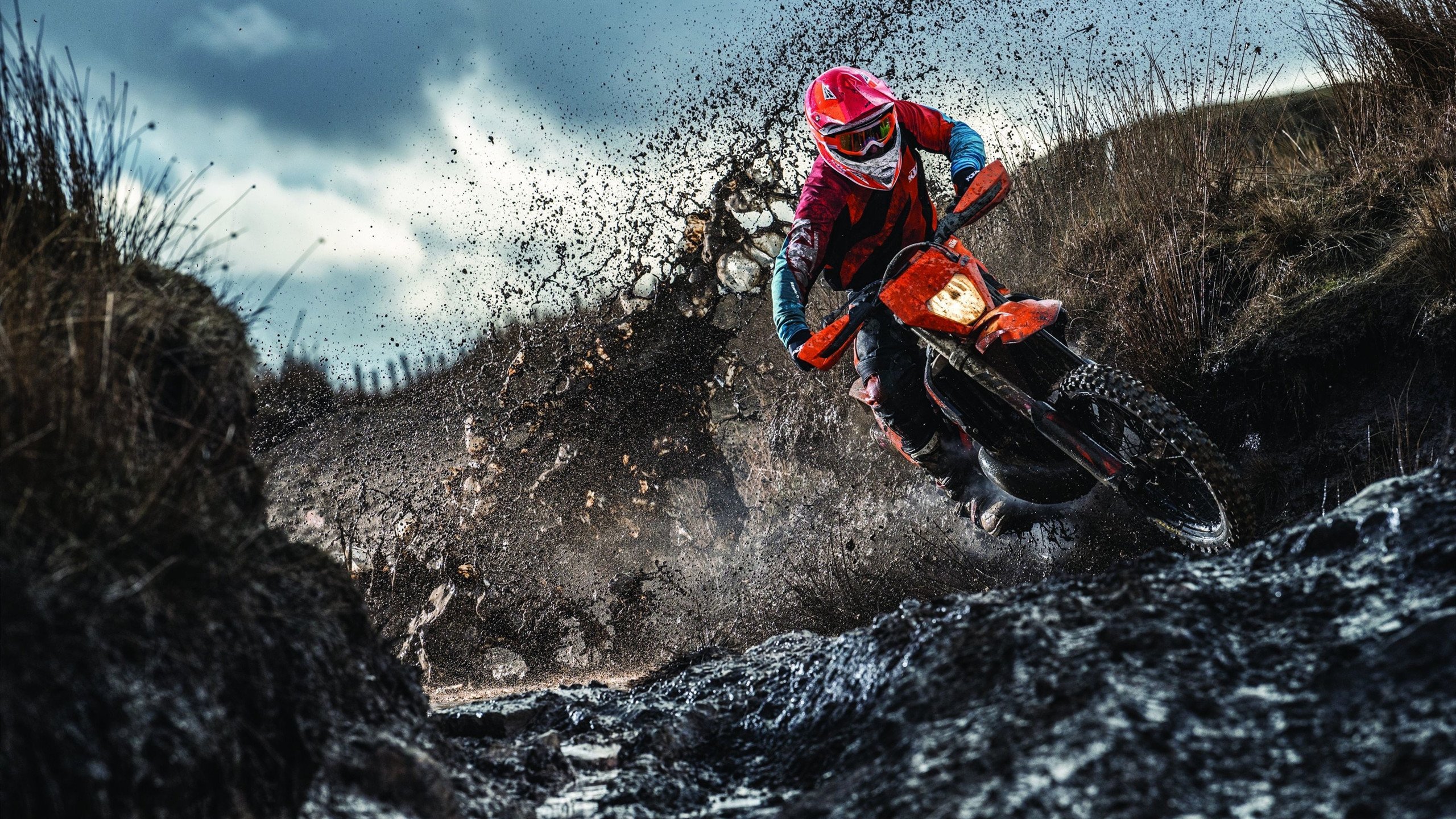 绝地反击,阿隆索神级策略助索伯车队逆袭梅赛德斯,改写F1格局